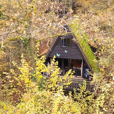 Durbuy Bungalow 194, Calme Et Nature Kültér fotó
